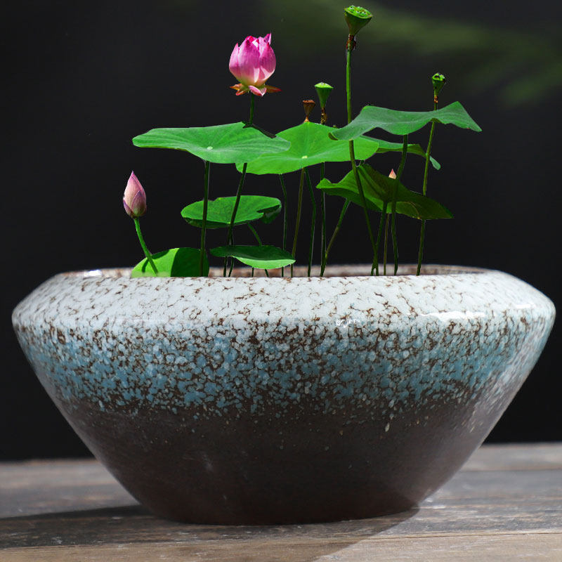 水培碗莲盆缸荷花睡莲铜钱专用大号无孔水养花盆花盆