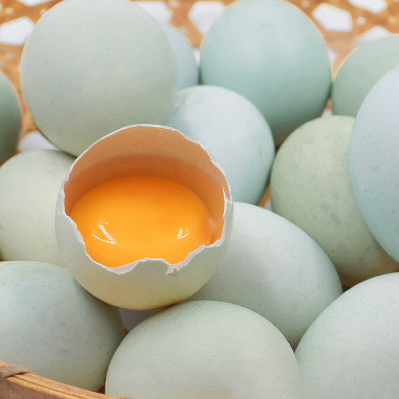 鸡蛋散养筱诺生鲜农家新鲜绿皮乌鸡土鸡绿壳鸡蛋