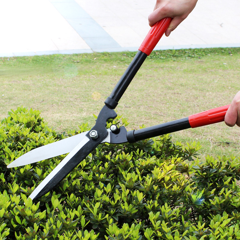 花剪园艺剪刀园林工具绿化修枝剪树枝果树大绿篱剪草坪强力修花剪