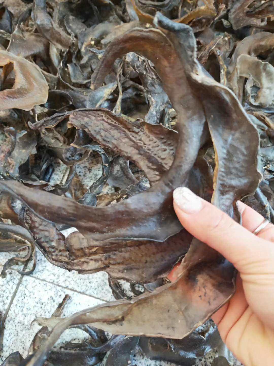 裙边酒店干货大片甲鱼边干一斤装水底板团鱼甲鱼