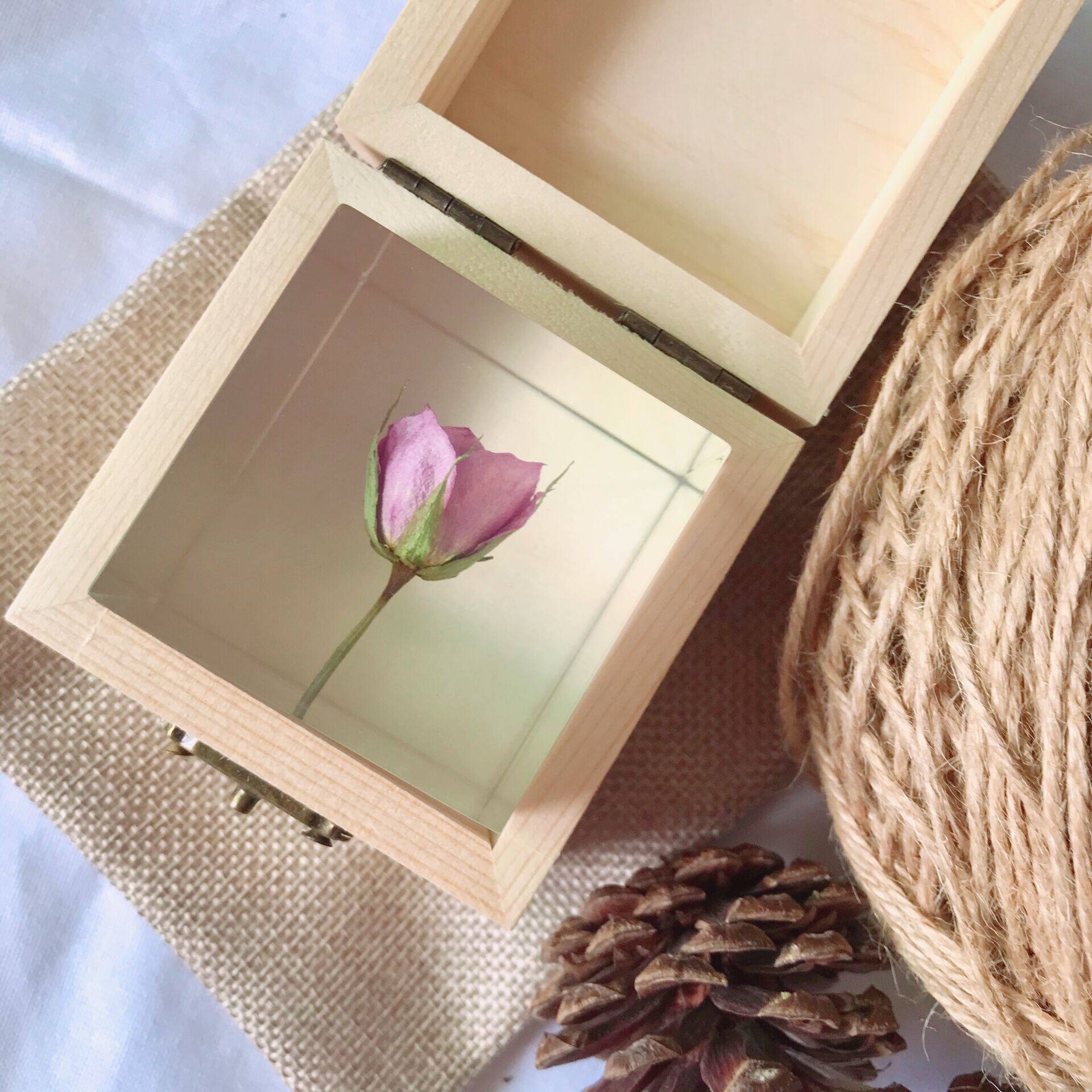 蒲公英玫瑰雏菊星花千日红鲜花永生花标本sola立方体摆件