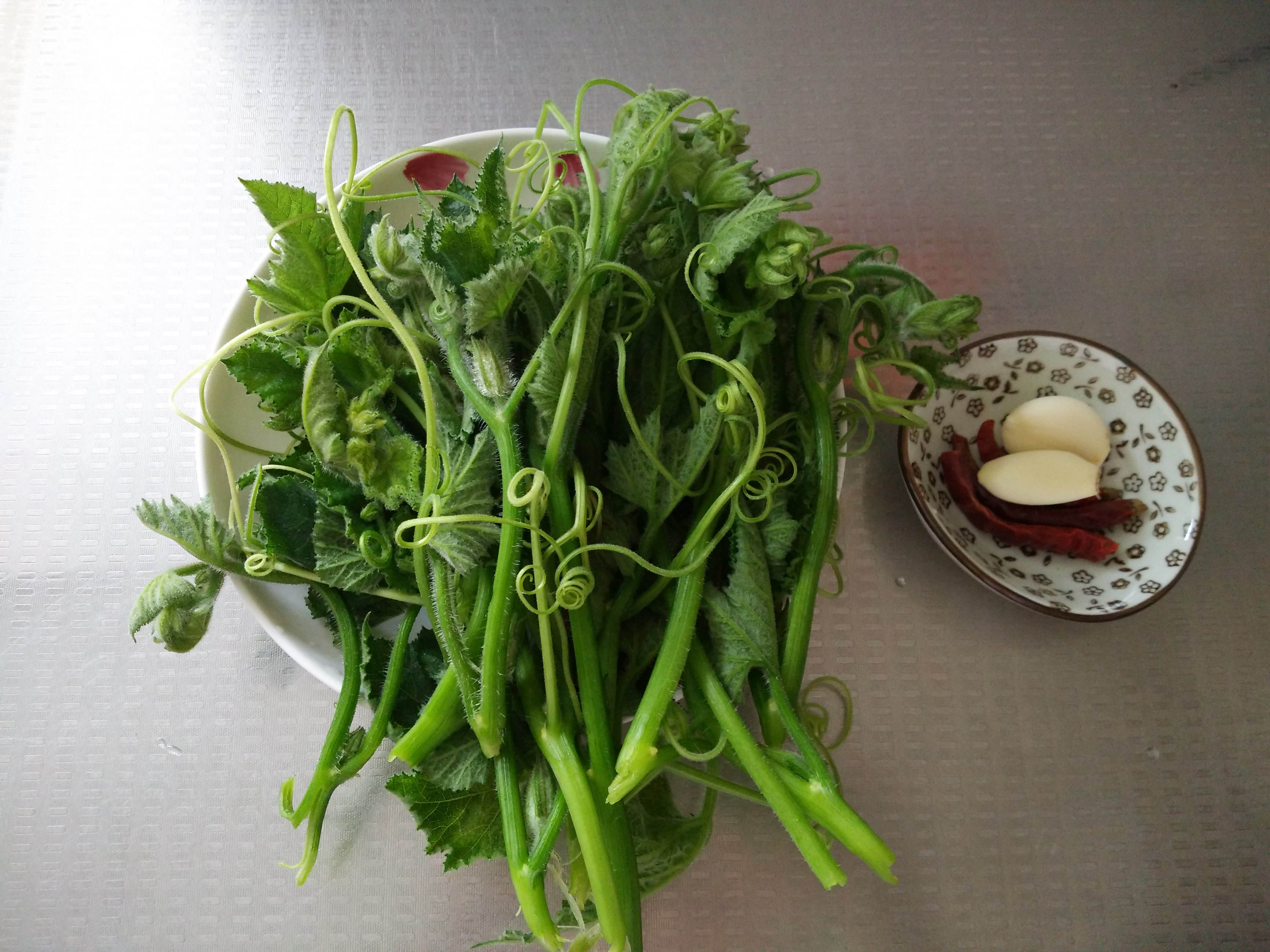 洋瓜尖 丝瓜尖 新鲜蔬菜 佛手瓜尖 伏儿瓜尖 龙须菜 净重4斤包邮