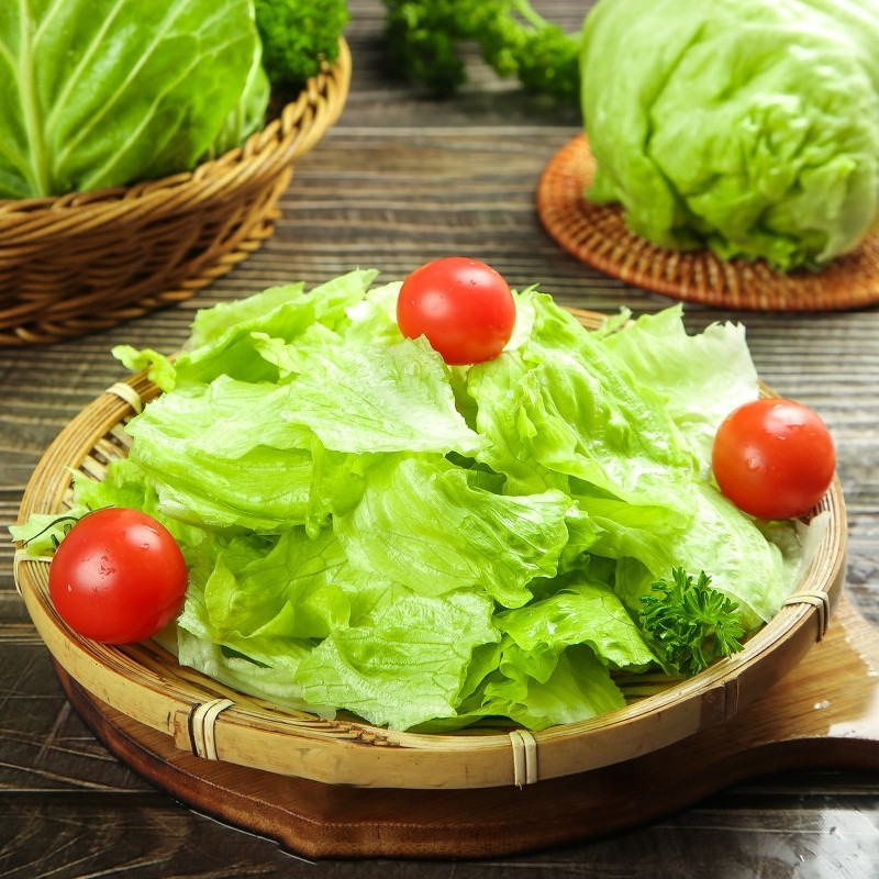 生菜5斤新鲜采摘汉堡沙拉三明治专用蔬菜即食蔬菜沙拉