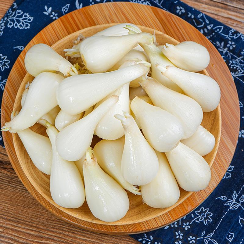 藠头新鲜广西9斤去叶荞头时令蔬菜农家自种其它