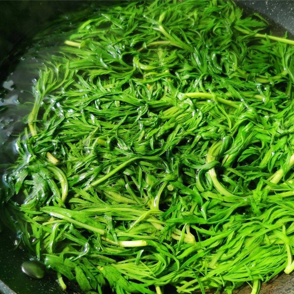 东北冷冻柳蒿新鲜水蒿酱菜保温箱加发货净重其它