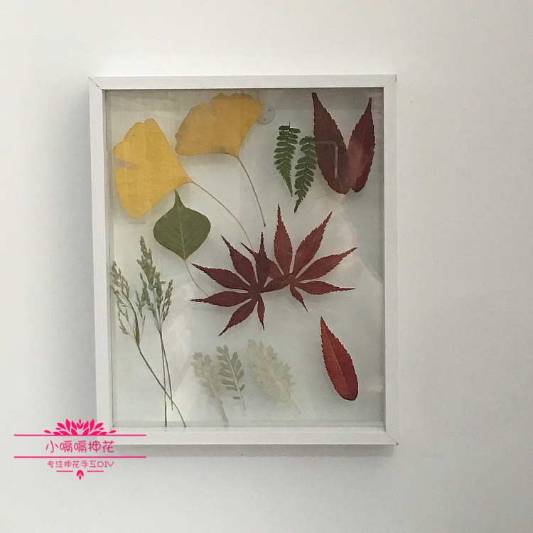 叶子32片天然植物标本幼儿园树叶拼贴干花