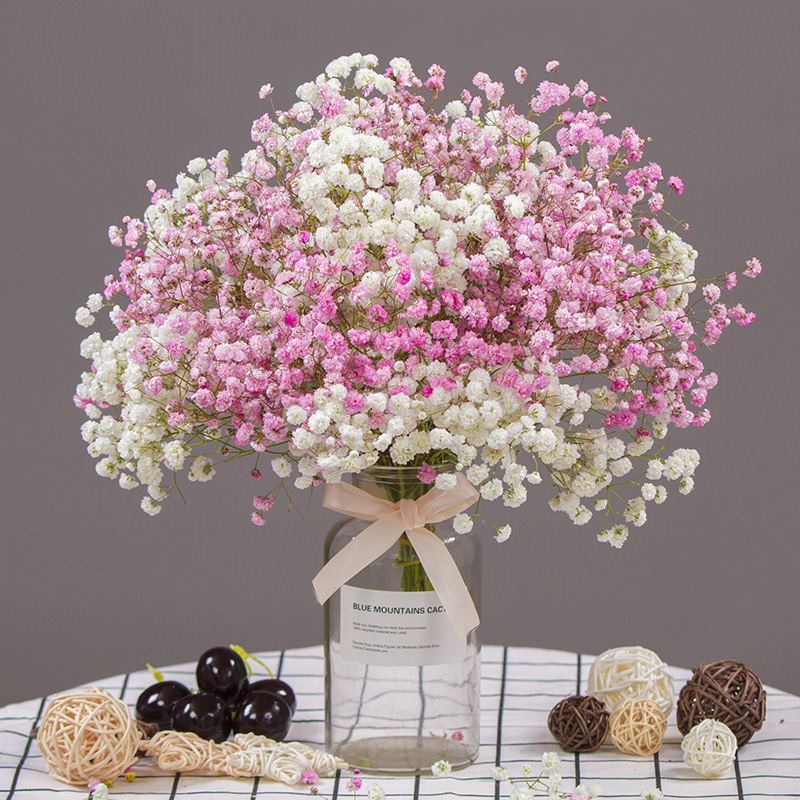 云南干花花束真花批发永生花满天星家居客厅摆件干花