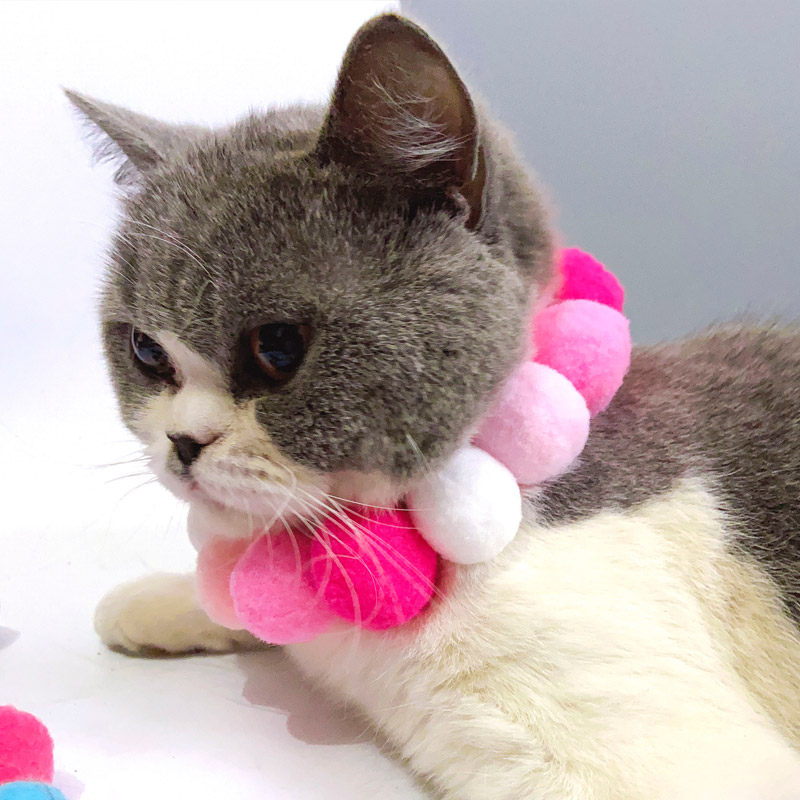 项圈毛球猫咪狗狗柴犬柯基脖圈网红宠物拍照项圈