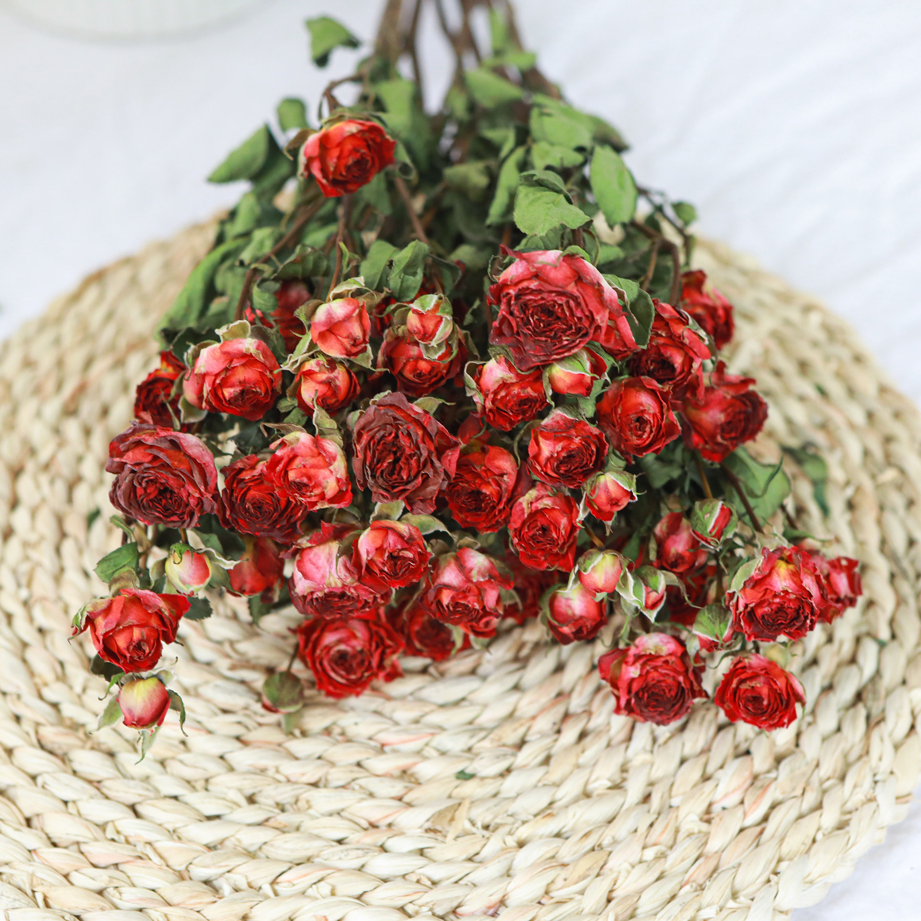 乐作flora巧克力泡泡干花多头玫瑰蔷薇自然晾干干花