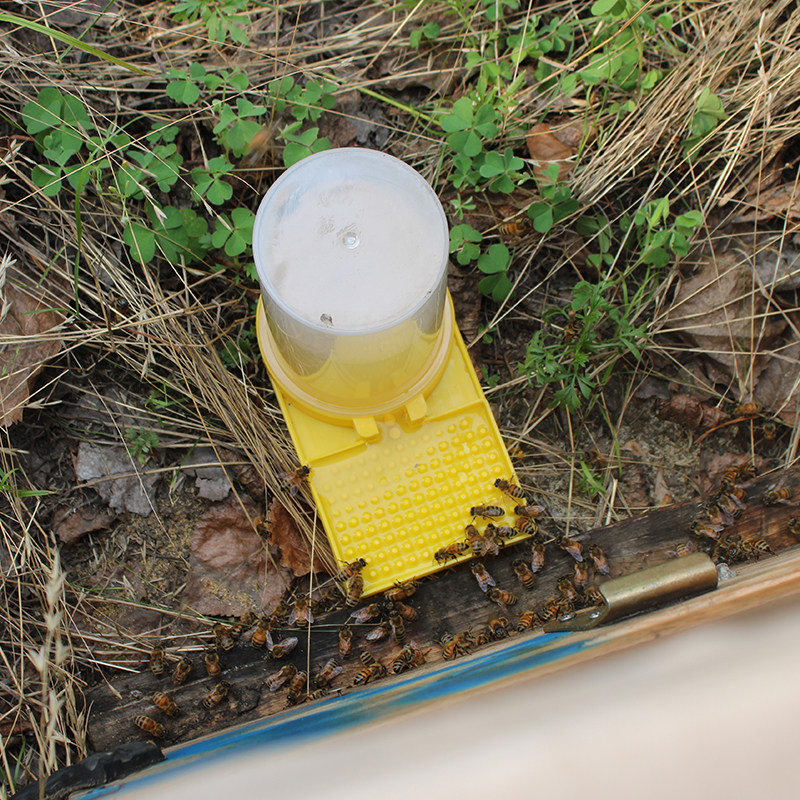 蜜蜂饲喂器中蜂喂水器加厚喂糖器密蜂箱外饮水专用喂食槽养蜂工具