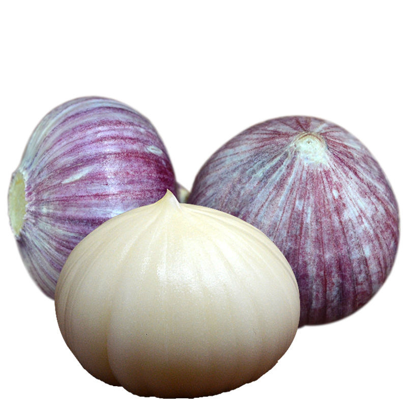 紫皮独蒜新鲜干蒜大个独头云南大理出口大蒜大蒜