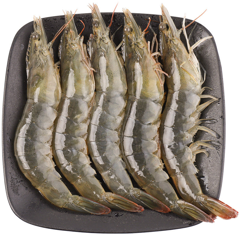 大虾鲜活超大青岛特大对虾海鲜水产冷冻白虾基冻虾