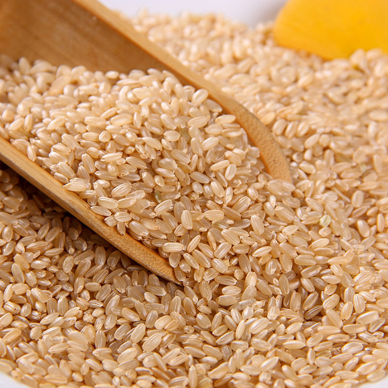 明日日兴有机糙米400克2包胚芽可发发芽大米糙米