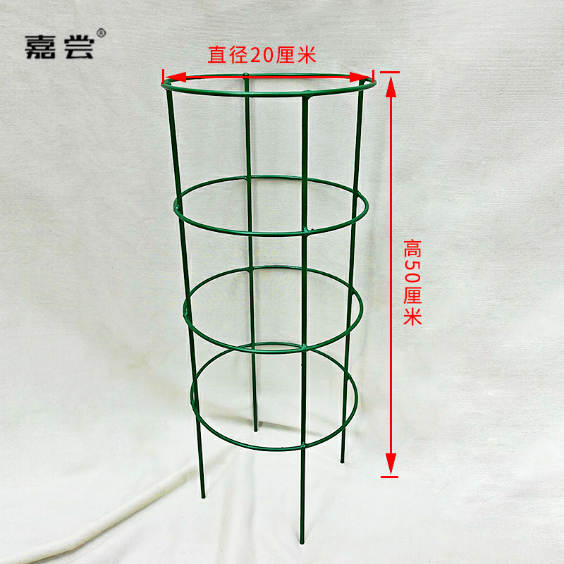 令箭荷花搭架子图片图片