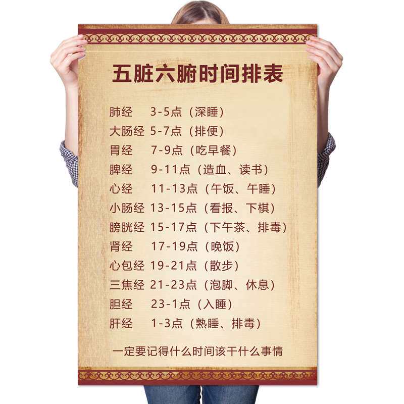中医养生五脏六腑时间排表作息十二时辰人体写真