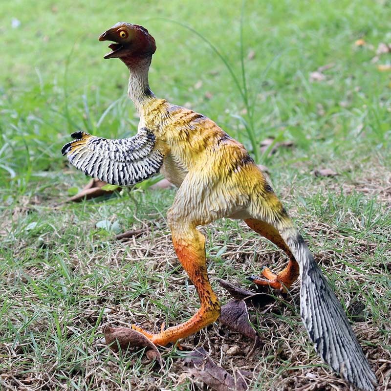 鸟龙林畅模玩侏罗侏罗纪纪中华龙鸟似尾羽模型仿真