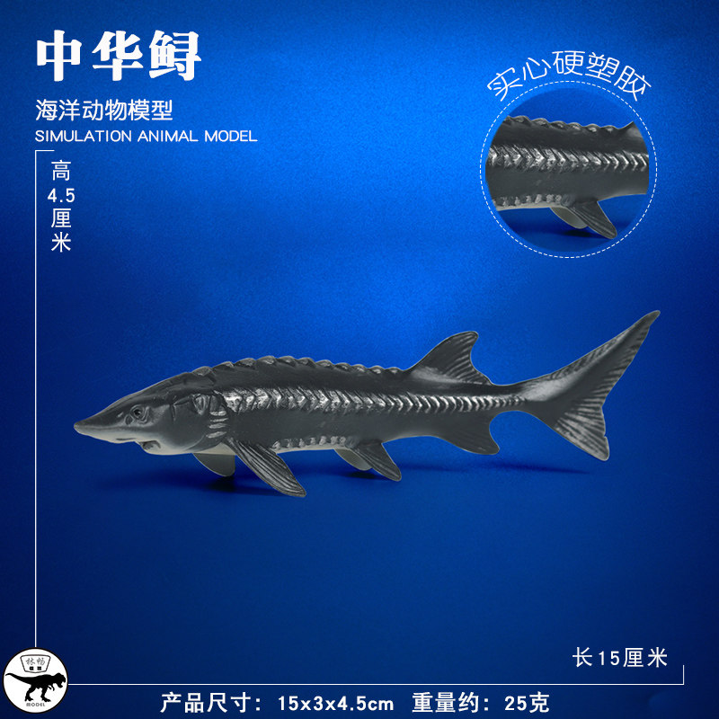 林畅模玩儿童海洋鱼类玩具中华鲟模型鲟鱼深海仿真