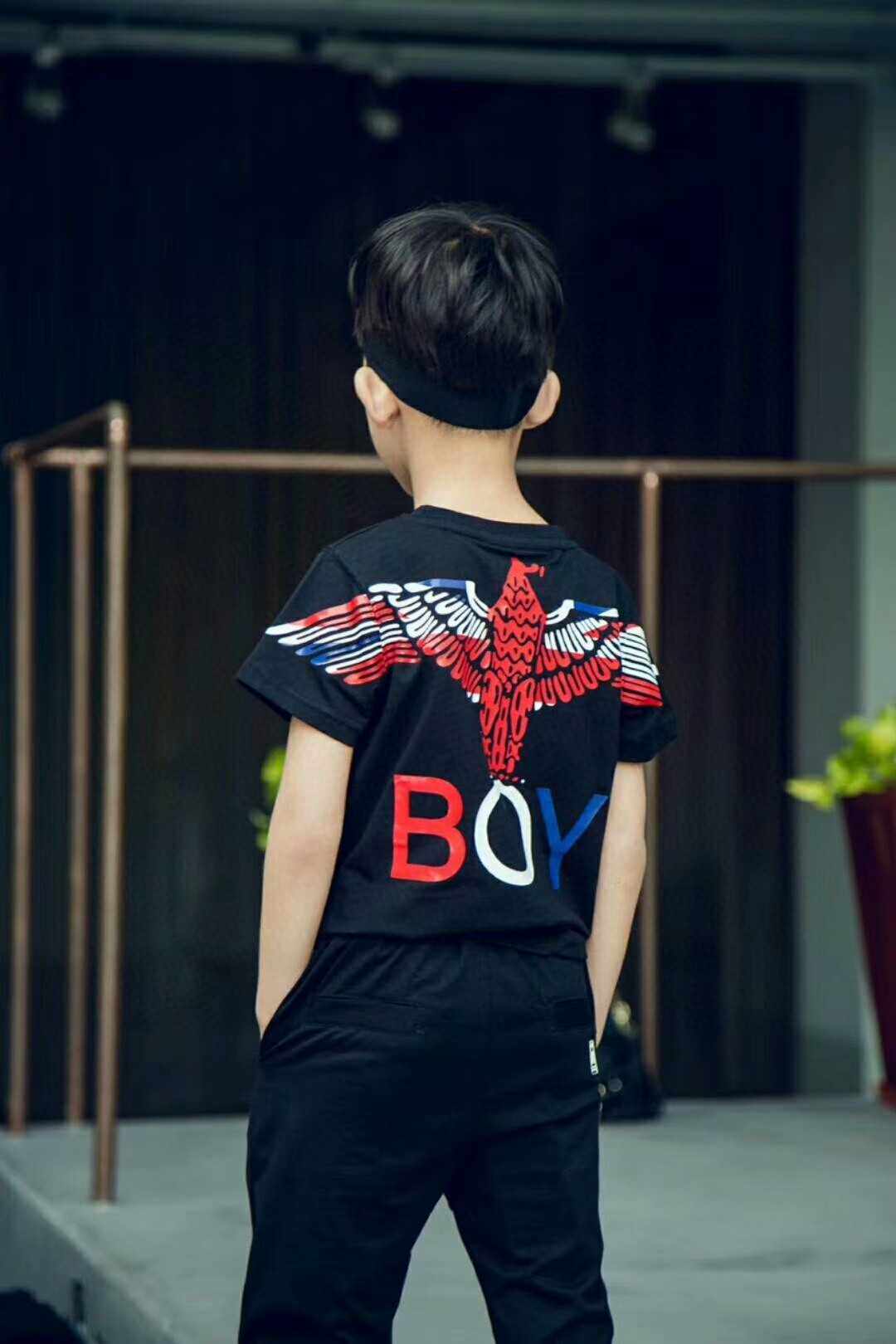 童装男女套装boy纯棉大鹰短袖女童件套2021套装