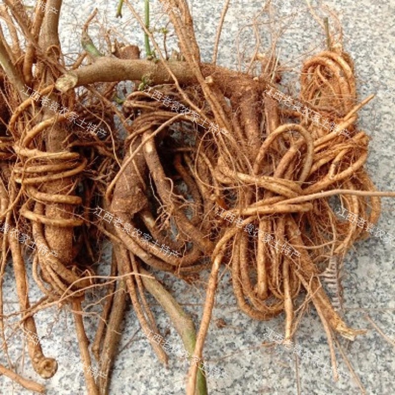 刀豆根干根刀角根干刀豆角根刀板豆根干刀巴豆1份新鲜豆类