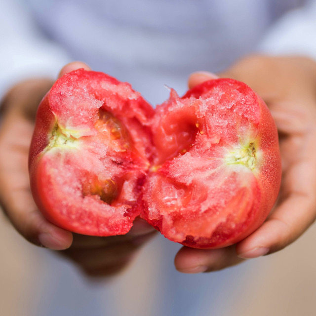 山东海阳普罗旺斯西红柿新鲜沙瓤生吃自然番茄番茄