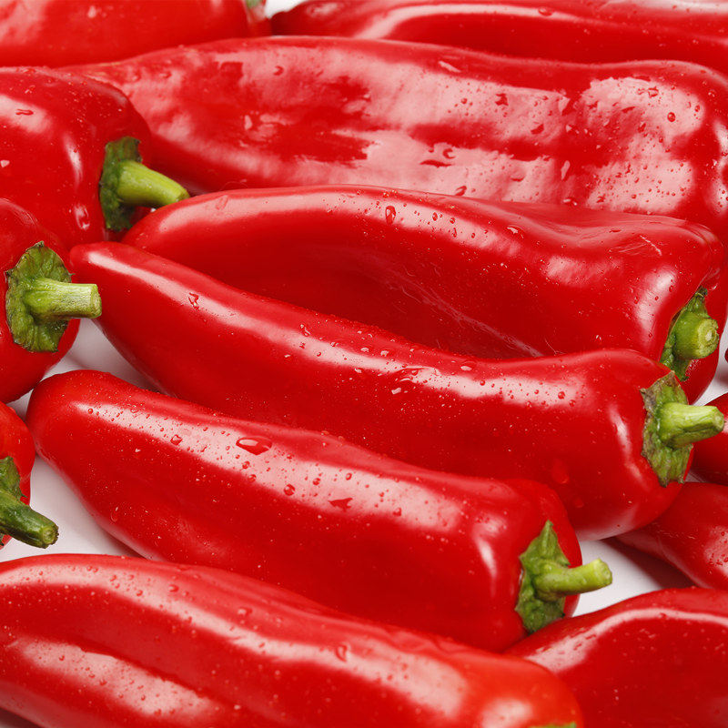 红辣椒泡椒新鲜微辣蔬菜现摘辣椒酱尖椒椒辣辣椒辣椒