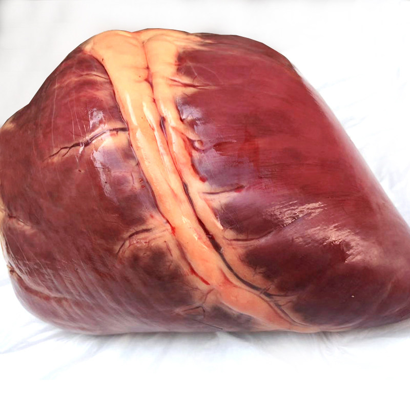 新鲜现杀驴心心脏一个整个驴心生河北特产农家驴肉
