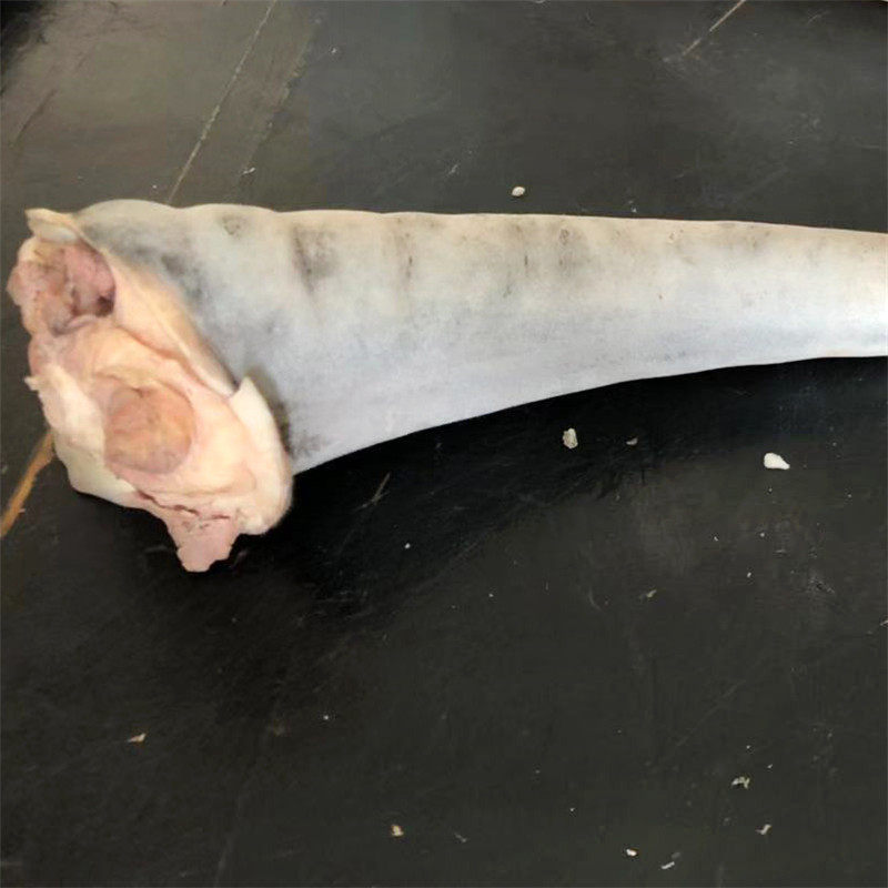 新鲜驴尾巴河北特产新鲜现杀驴肉生鲜带皮驴尾巴真空包装斩段包邮