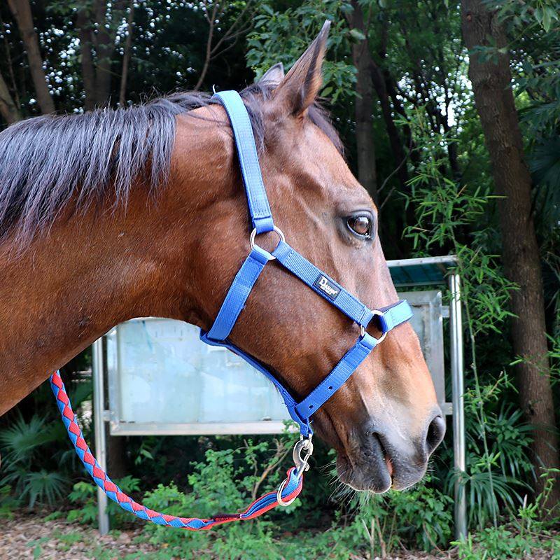 笼头牵马马笼头马绳耐用金属可调调节红黑牵马