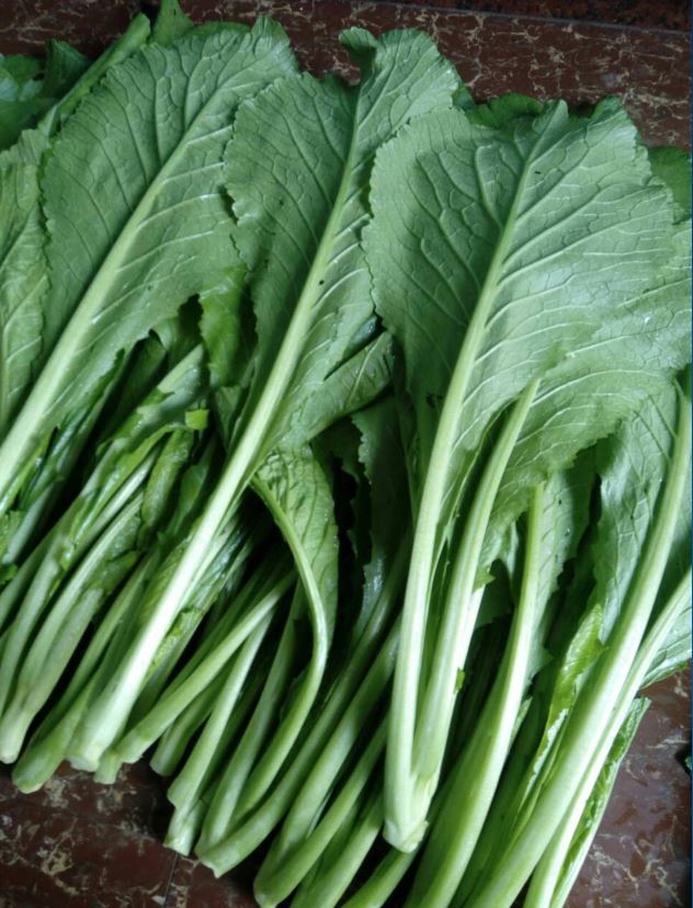 农家自种潮汕本地春菜有机绿色青菜西餐菜现其它