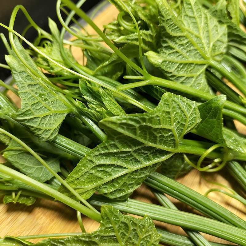 新鲜蔬菜洋瓜尖佛手瓜尖4斤佛手瓜尖农家自种伏瓜鲜嫩藤蔓龙须菜