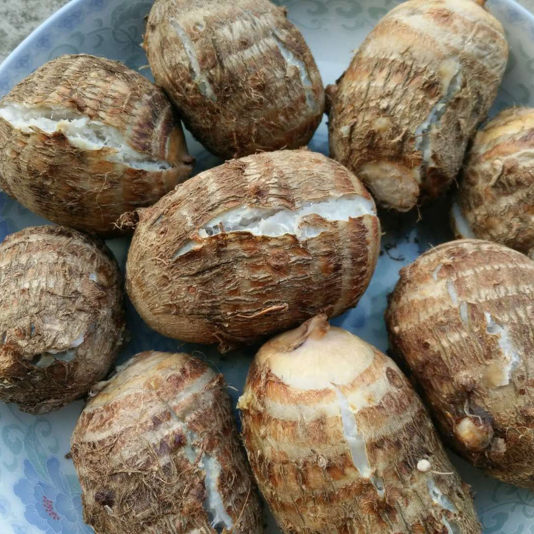 芋头四川新鲜小芋头粉糯毛香芋农家蔬菜净重5斤芋头