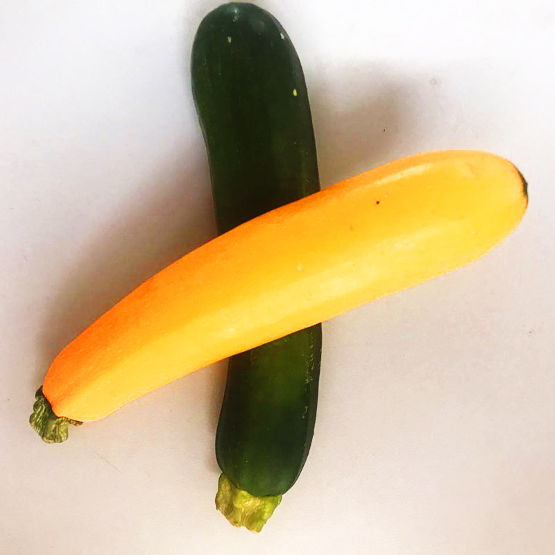 现摘现发新鲜蔬菜黄节瓜西葫芦净重500g江浙沪5件其它