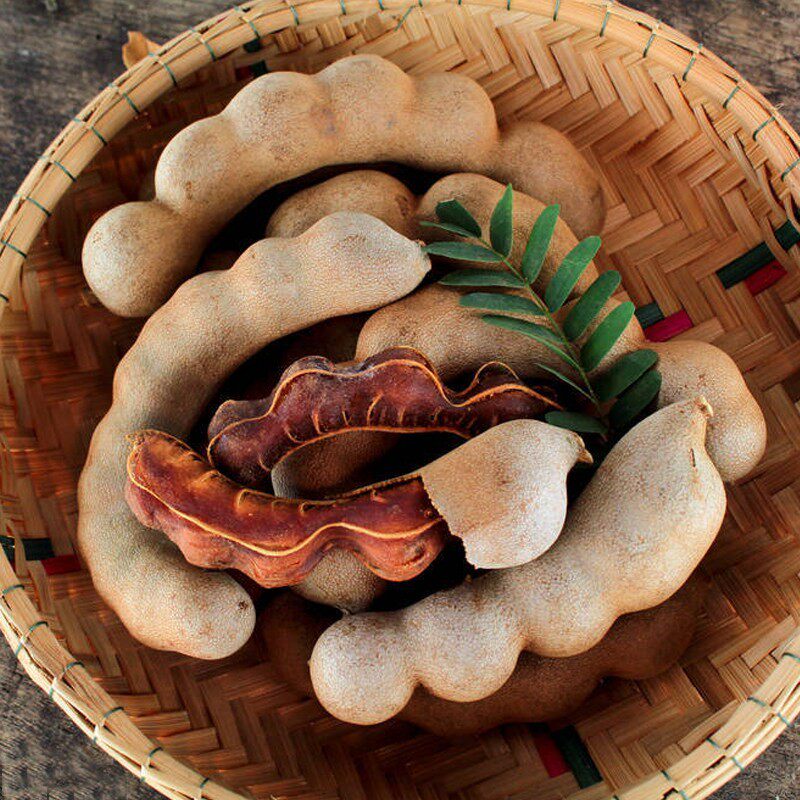 甜酸云南特产新鲜水果散装酸角大王果脯酸甜其它