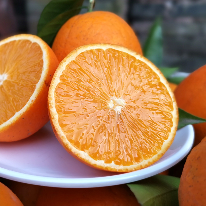 重庆开县春橙脐橙大果现摘带叶新鲜橙