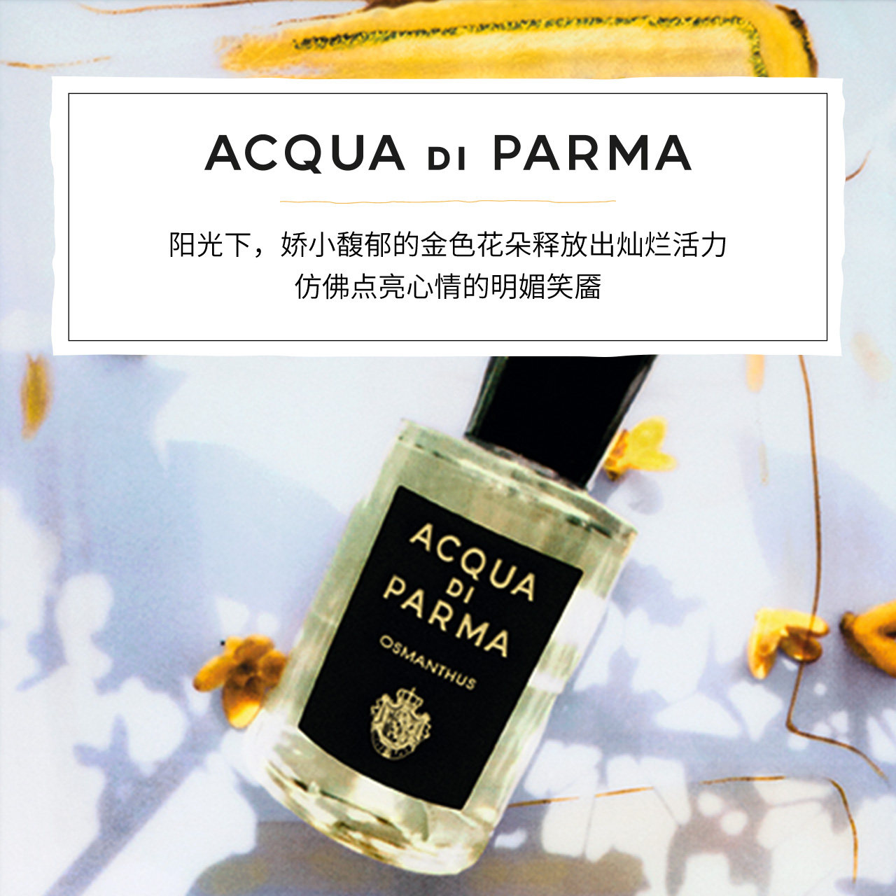 [白色情人节]帕尔玛之水格调系列香水馥桂调 20ml 桂花 温暖