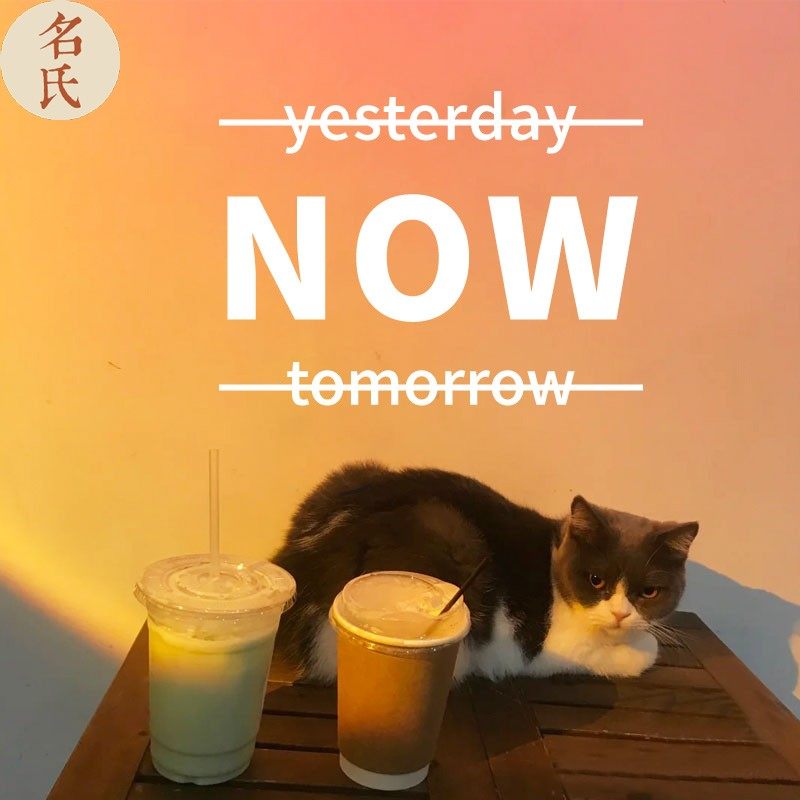 现在此刻now英文鼓励单词考研中高考激励装饰软装墙贴