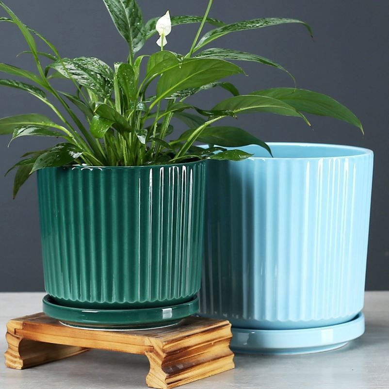 好看看的创意花盆陶瓷时尚盆栽高档北欧底盘花盆
