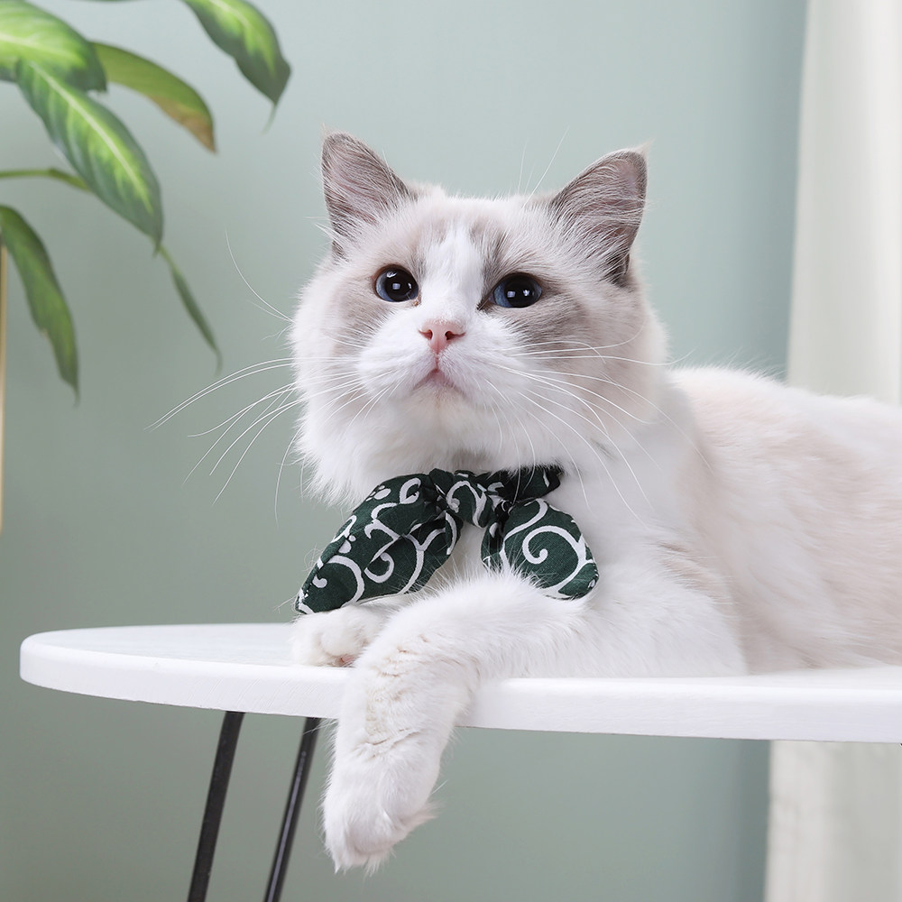 猫咪脖子饰品抖猫衣服可爱手工领结狗狗小猫领结