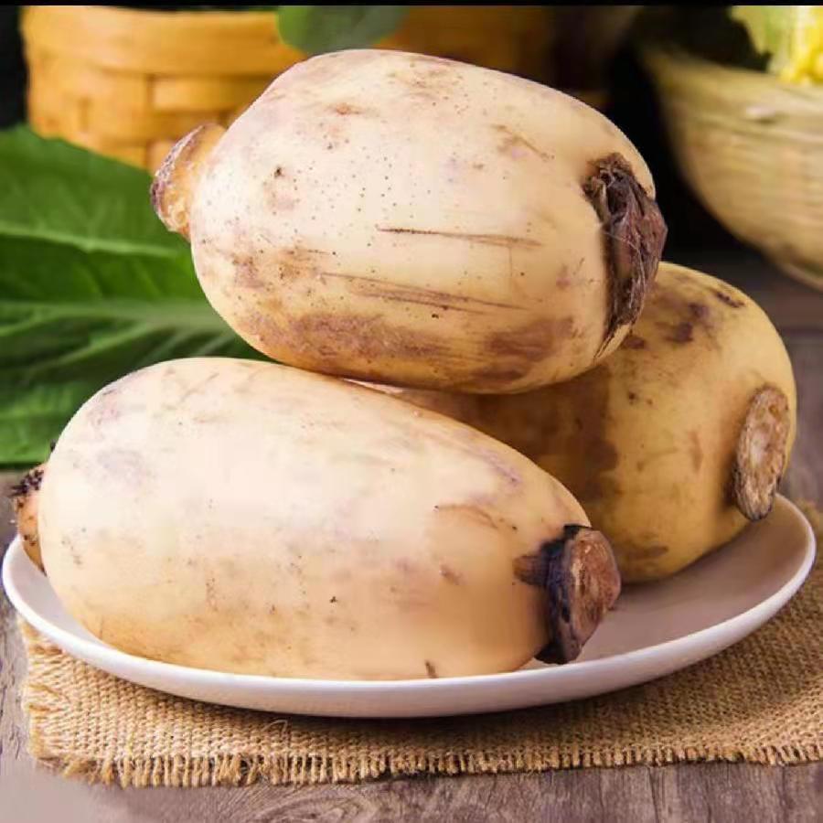 莲藕新鲜中段整箱脆藕九孔时令嫩藕生吃现挖莲藕