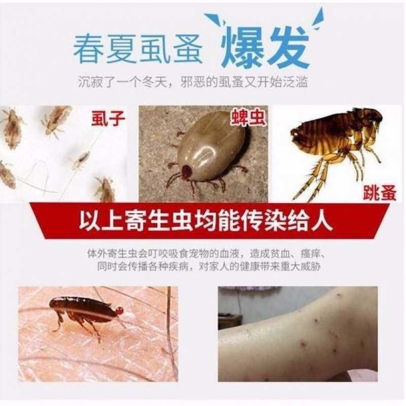 宠物专用狗蜱神器虱子犬用虫药驱虫体外狗狗其他