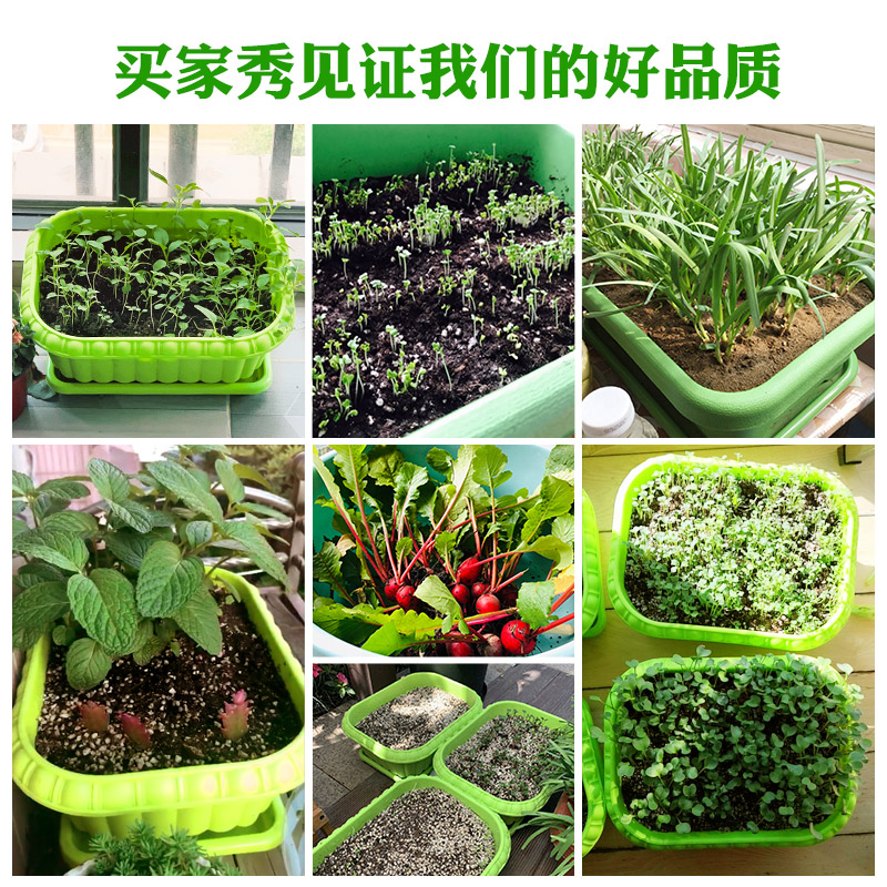 家庭阳台种菜菜盆蔬菜种植神器长方形花盆塑料花盆