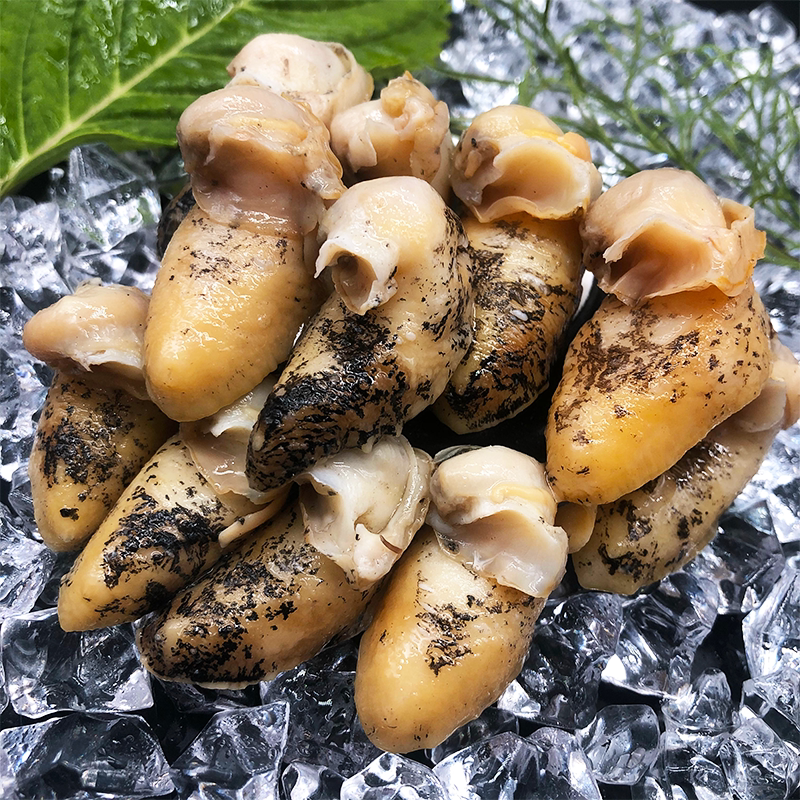 鲍鱼新鲜冷冻鲍螺肉假老婆螺肉即食海鲜螺鲍贝类制品