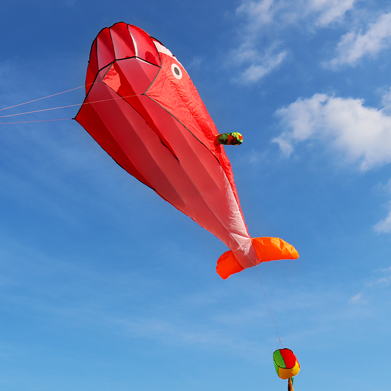 腾鸢潍坊大型软体风筝微风易飞成人儿童立体高档新款海豚软体风筝