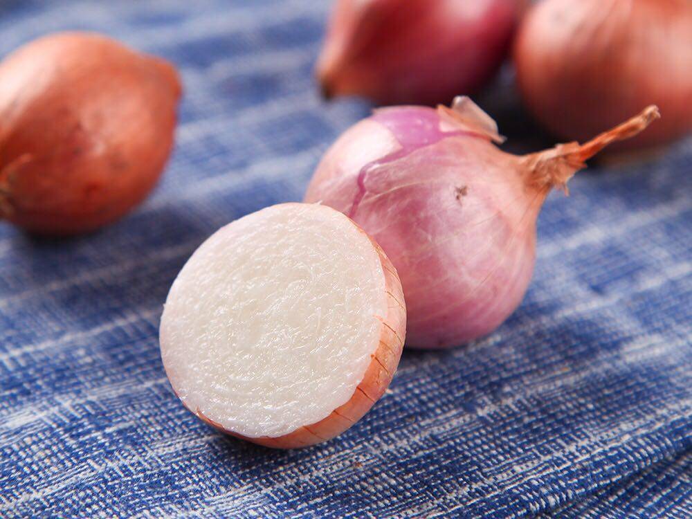 魔月葱头shallotechalottes150g迷你小洋葱珍珠洋葱葱类