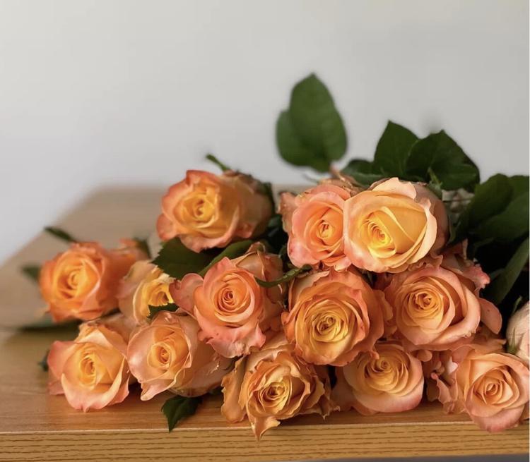 油画蒙娜丽莎月季肯尼亚新品切花玫瑰直立抗病花卉花卉