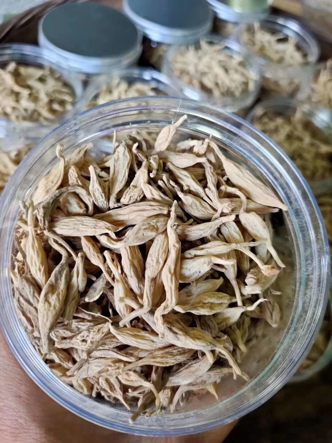 韶关高山纯天然野生麦冬250克500克一袋新鲜现挖水果包装