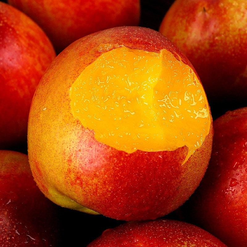 砀山特产现季油桃新鲜大果黄肉黄心5斤装大油桃水果时令现发桃子
