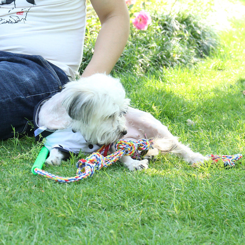 逗狗棒狗狗耐咬泰迪金毛德牧训练玩具解闷有趣橡胶球