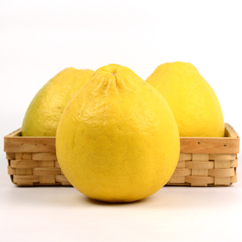 正宗梅州纯甜沙田柚子全国包邮50斤装当季新鲜孕妇水果非广西容县