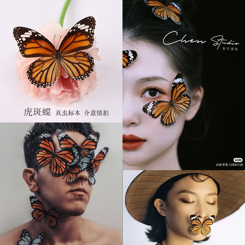 蝴蝶贴花脸部装饰标本昆虫真虫3d美甲工具